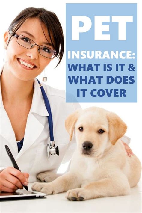 Pet Insurance What Is It And What Does It Cover