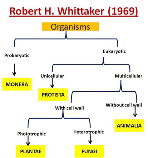 Image Result For Five Kingdom Classification Biology Facts Study