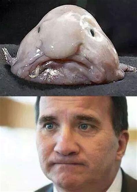 Either we stay with a decent democracy or we choose another path, stefan lofven told the bbc. politik-lika-som-lofven - En Elak Jävel?En Elak Jävel?