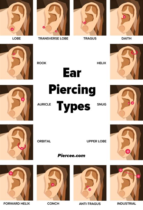 Ear Piercing Chart 17 Types Explained Pain Level Price Photo