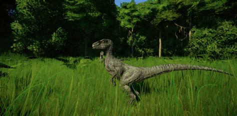 Jurassic World Evolution Velociraptor By Kanshinx3 On Deviantart