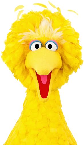 Download Sesame Street Big Bird Png Sesame Street Characters Big Bird Full Size Png Image