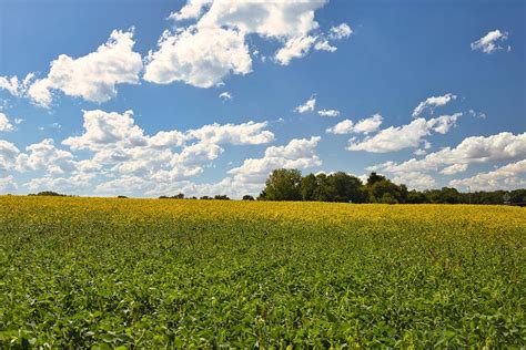 Fall Farm Fields Photograph By Kerri Batrowny Fine Art America