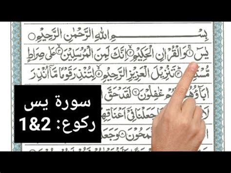 • best ui/ux • clear text which is very easy to read • high quality graphics • well optimized and tested • surah yasin bahasa melayu taranslation • surah yasin rumi (surah yasin transliteration) Yasin Surah || [Surah Yaseen Ruku 1 and 2 HD Text Arabic ...