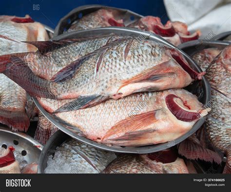 Fresh Tilapia Fish Image And Photo Free Trial Bigstock