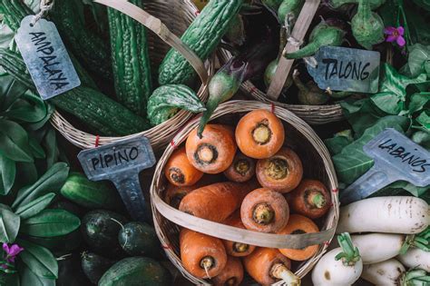 8 Farms That Deliver Fresh Organic Fruits And Vegetables To Your