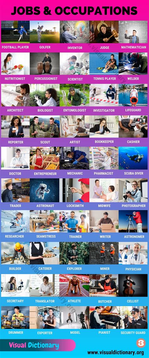 List Of Jobs 260 Popular Jobs And Occupations You Need To Know