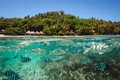 Luxury 5 Star All Inclusive Fiji Resorts Turtle Island Fiji Resort
