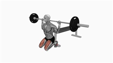 Mastering The Barbell Kneeling Squat A Beginner S Guide To Improved