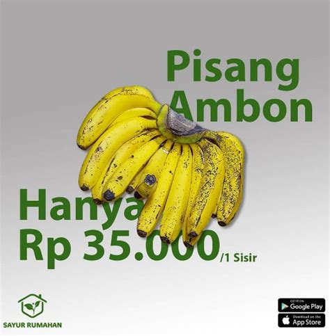 Contoh Kata Kata Promosi Pisang Serta Pamflet Nya