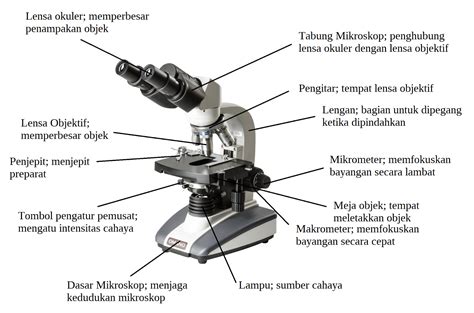 Pengertian Scanning Electron Microscope Sem Preparat Vrogue Co
