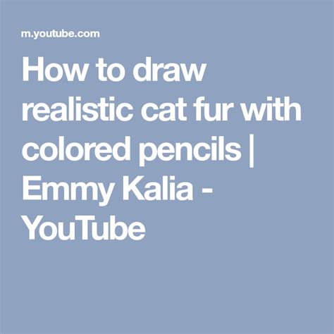 How To Draw Realistic Cat Fur With Colored Pencils Emmy Kalia