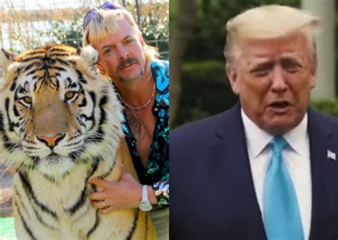 is president donald trump going to pardon tiger king star joe exotic celebrity insider