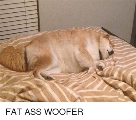 Fat Ass Woofer Fat Meme On Meme