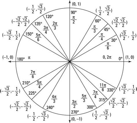 For Dummies Precalculus Math Methods Studying Math