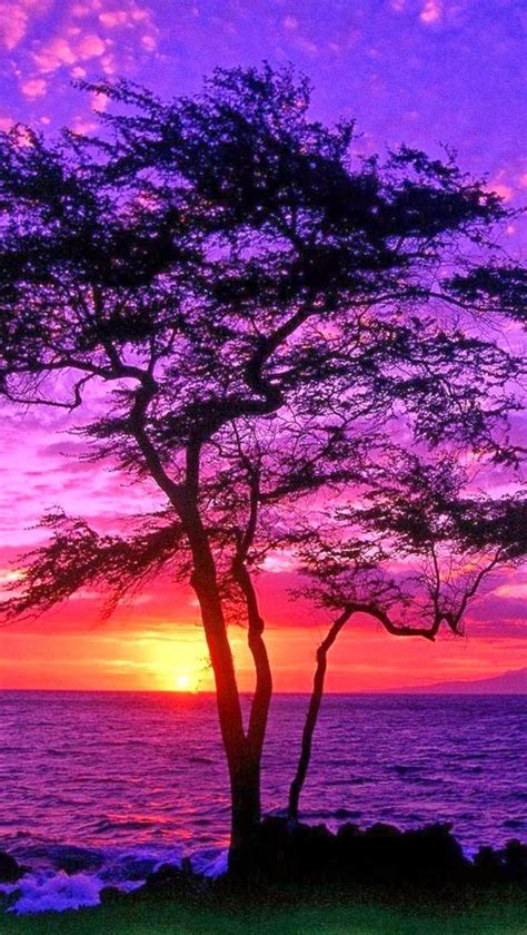 Pôr Do Sol Em Mauí No Havaí Paisagem Pinterest Beautiful
