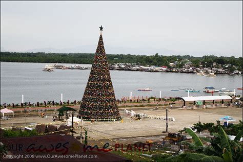 The Tallest Christmas Tree Anton Diaz Flickr