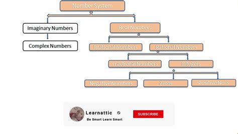 Represent The Number System With The Help Of A Flow Chart And Write