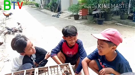 Jumpa lagi kita di saluran website sebagai media sharing yang selalu konsisten memberikan tips dan informasi yg bermanfaat, nah di kesempatan kali ini kami akan berbagi tips mengenal jenis makanan burung. BELI BURUNG MERPATI EPS#01 - YouTube