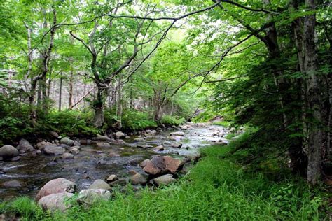 Hiking The Fishing Cove Trail Cape Breton Nova Scotia Off Track Travel