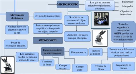 Mapas Conceptuales Del Microscopio Descargar