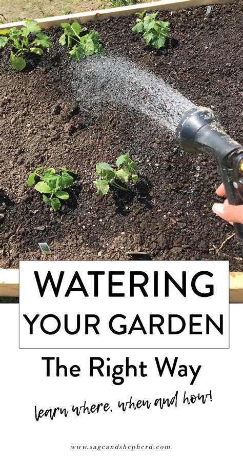 How To Water Your Garden The Right Way Vegetable Garden Planner