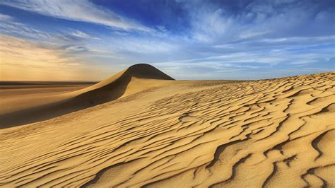 Nature Landscape Desert Plants Sand Clouds Sky Sand Ripples