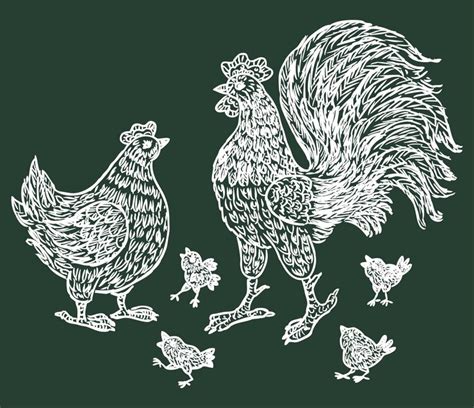 premium vector hand drawings of cartoon cock hen and chickens