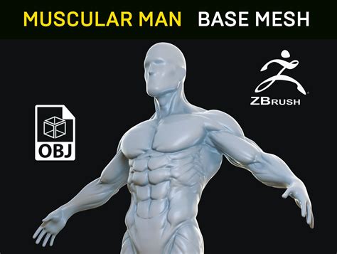 Muscular Man Base Mesh 3d Model Cgtrader