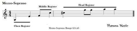 Major Voice Types Classification And Their Range Phamox Music 2023