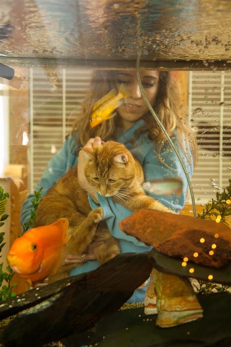 Pocket pond provides a digital form of the latter. Cat Boarding Activities and Pampering at Morris Animal Inn