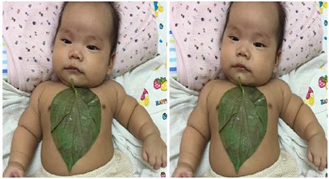 Saya sarankan memberikan obat batuk berdahak untuk anak berupa ramuan obat tradisional yang jauh lebih baik dibandingkan obat batuk selain itu, dibawah ini obat batuk berdahak untuk anak yang juga terkenal manjur untuk mengencerkan kemudian mengeluarkan dahak pada anak yaitu Deretan Daftar Resep Tradisional Pengganti Obat, yang ...