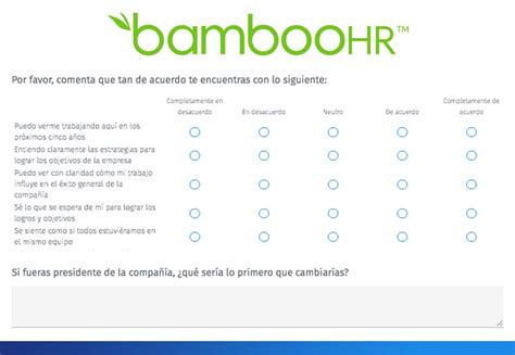 Ejemplo de evaluación de desempeño laboral