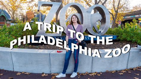A Trip To The Philadelphia Zoo Fallwinter 2020 Philly Zoo Vlog