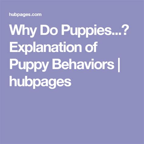Why Do Puppies Explanation Of Puppy Behaviors Puppies Behavior