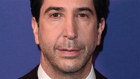 What David Schwimmer Was Doing Before Friends