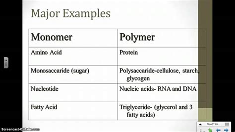 What is the difference between polymer and. Monomers and Polymers - YouTube