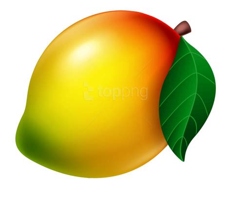 In full depth of field. Mango clipart original, Mango original Transparent FREE ...