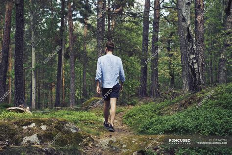 Man Walking In Forest Back View Years Outdoors Stock Photo