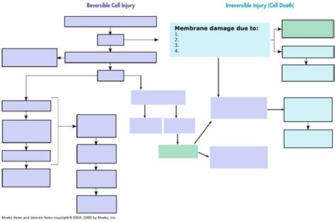 Ischemia Induced Hypoxic Injury Flow Chart Diagram Quizlet