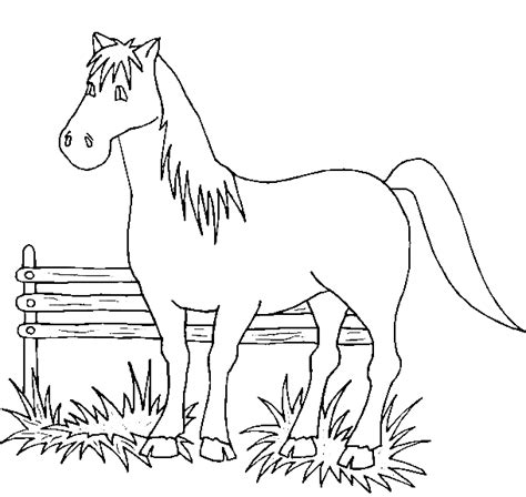 Konji 14 Bojanke Za Djecu Za Printanje I Bojanje