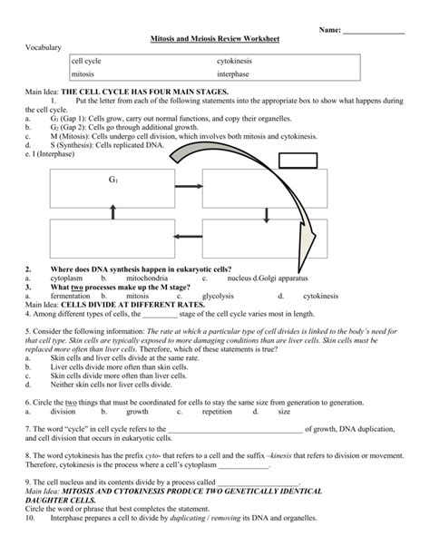 Chapter 5 Cell Growth And Division Answer Key Pdf › Athens Mutual