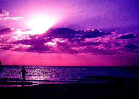 Purple Beach Wallpaper Wallpapersafari