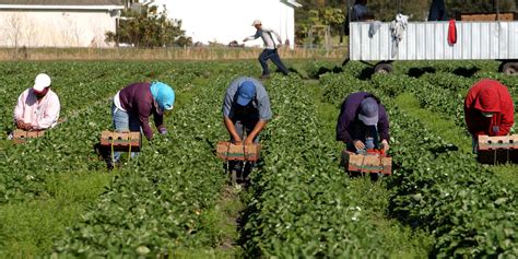 The Impact Of Technology On Farm Labor And Employment The Agrotech Daily