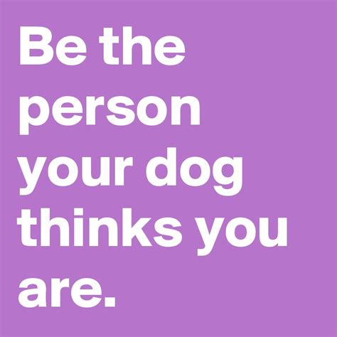 Be The Person Your Dog Thinks You Are Post By Iheartcheese On Boldomatic