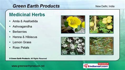Medicinal Herbs By Green Earth Products New Delhi Youtube