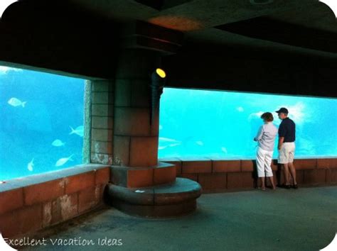 Atlantis Aquarium One Of The Best Attractions At The Atlantis Bahamas