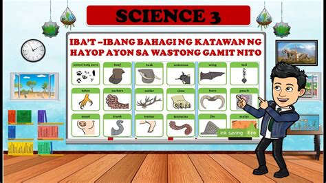 Science 3 Melc 5 Bahagi Ng Katawan Ng Mga Hayop At Gamit Nito Grade 3