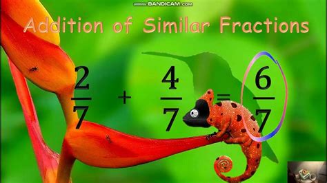 Addition And Subtraction Of Similar And Dissimilar Fractions Youtube