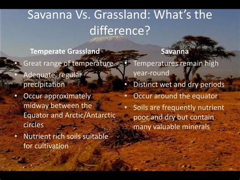 Ppt Savanna Temperate Grassland Powerpoint Presentation Free